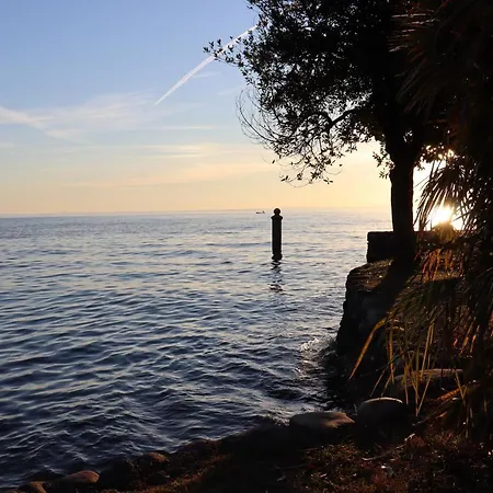 Monika 302 Joy In The