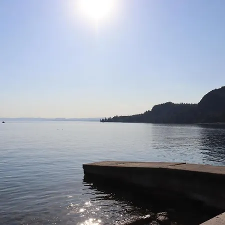 Monika 302 Joy In The *