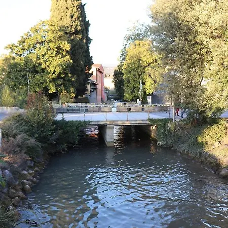 Monika 302 Joy In The Garde