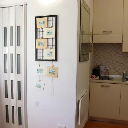 Monika 302 Joy In The * Garde