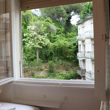 Monika 302 Joy In The