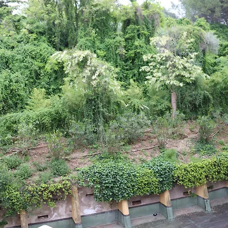 Monika 302 Joy In The *