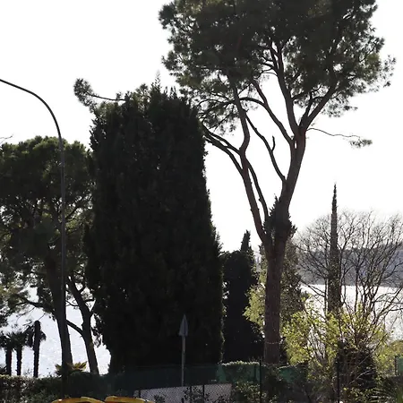 Monika 302 Joy In The *